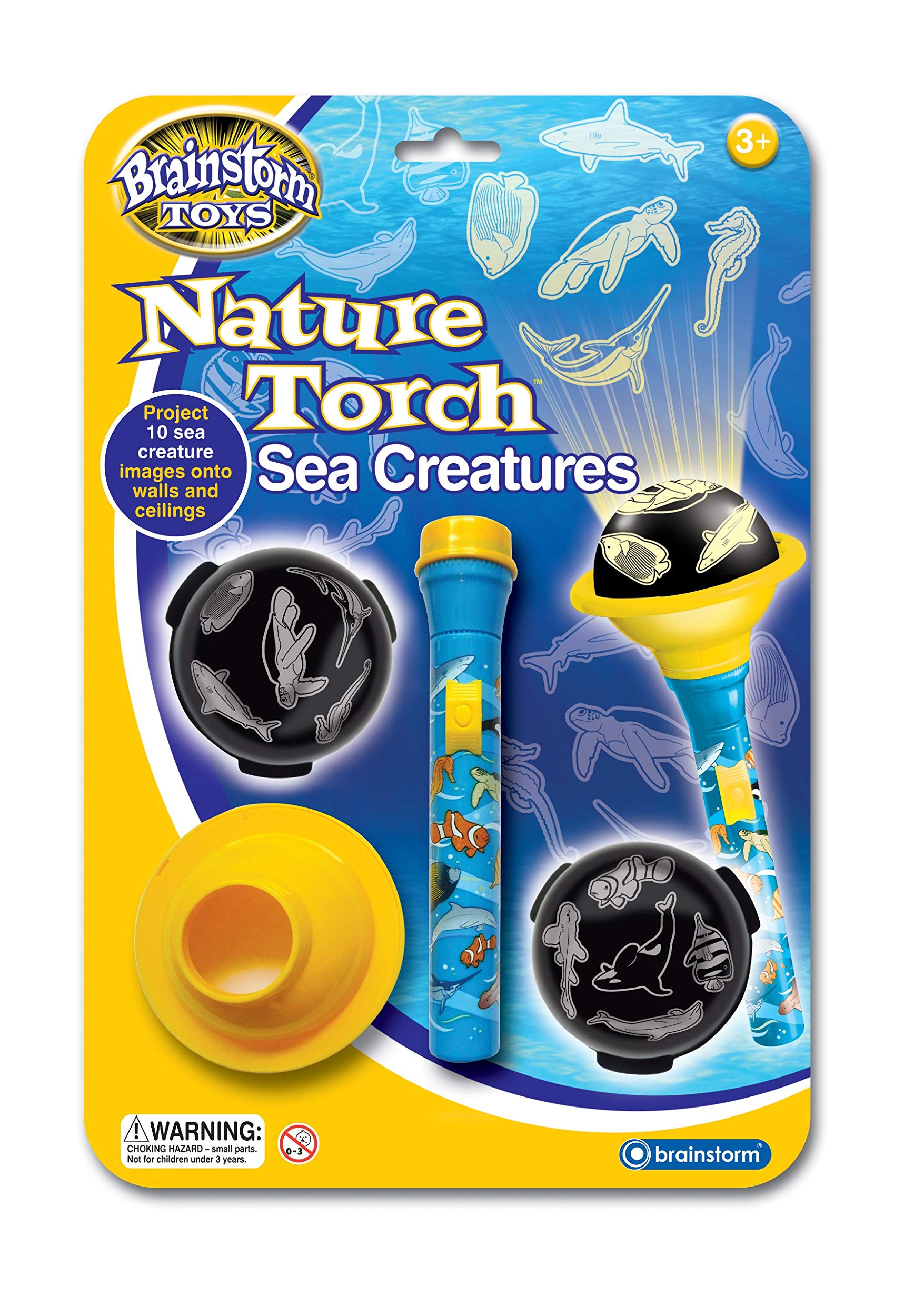 Nature Torch Sea Creatures