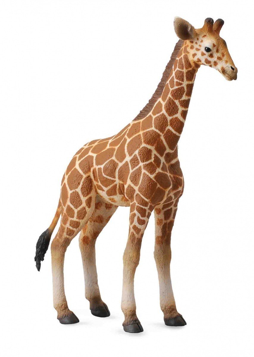 Collecta Net Giraffe Creates – Educational Toy