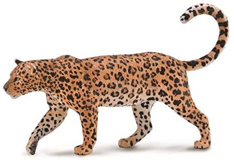 Collecta Leopard Africa 88866
