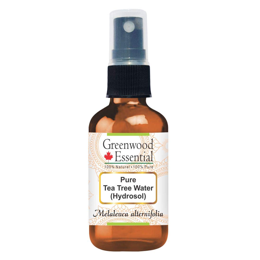 Greenwood Essential Natural Pure Tea Tree Flowers Water (Hydrosol) (Melaleuca Alternifolia) 100% Natural Pure Therapeutic Quality 50 ml (1.69 oz)