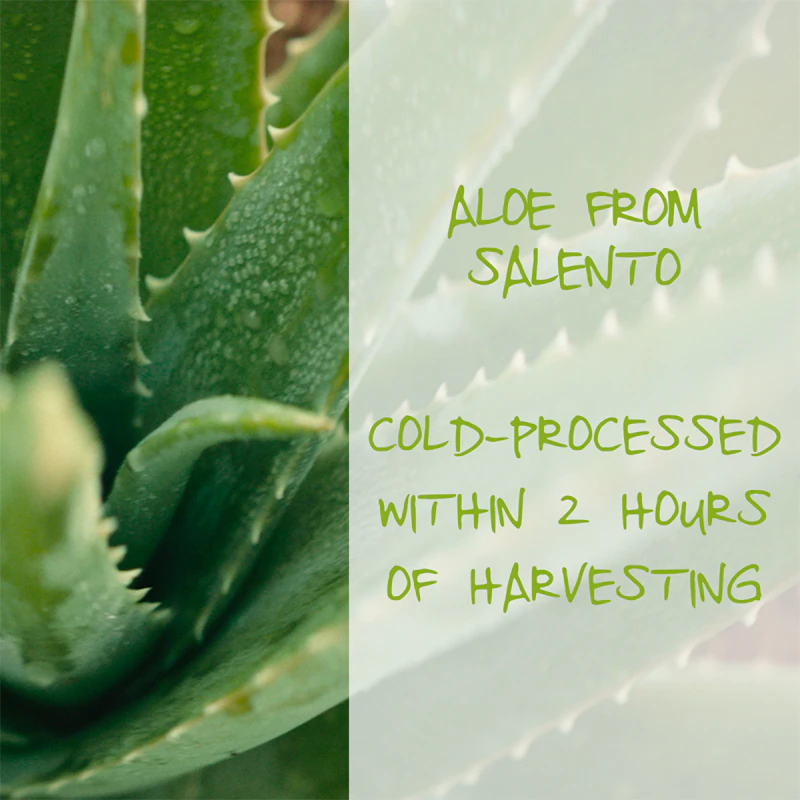 Omia Laboratories Aloe Vera del Salento hydrating shampoo with aloe vera