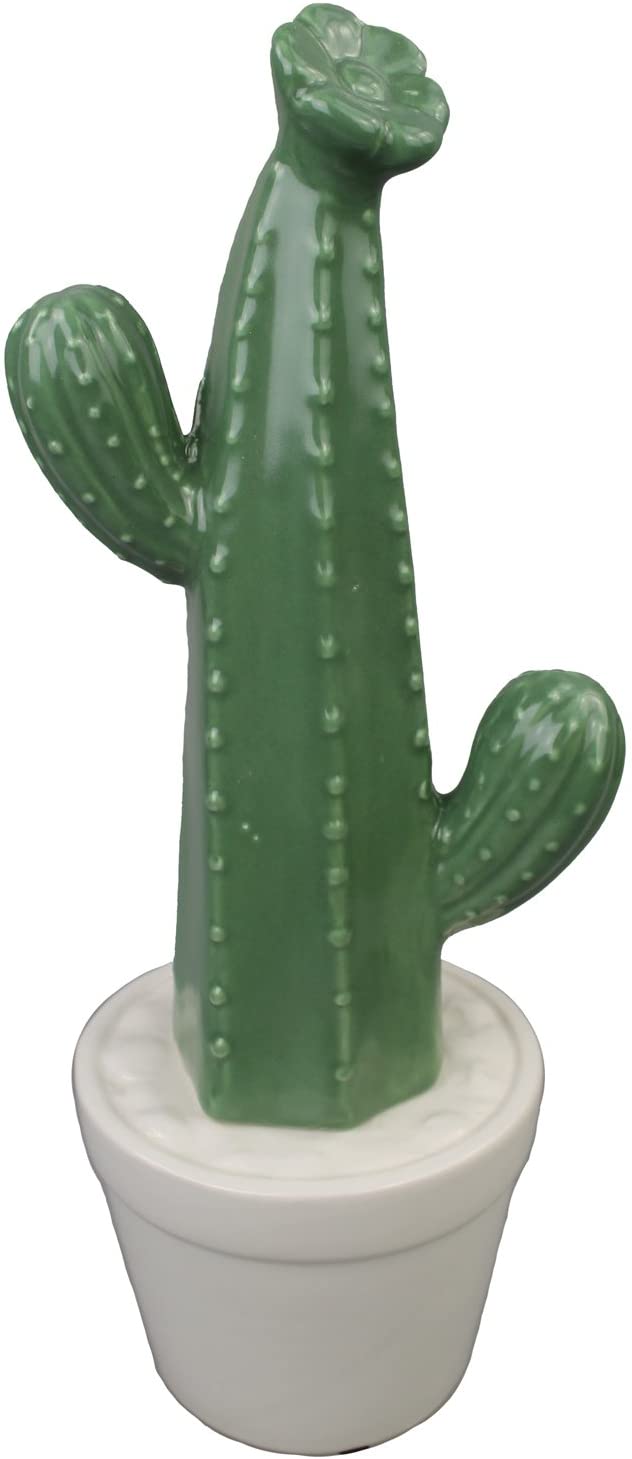 GMMH Ceramic Cactus Cacti Models Available Decorative Vase Ceramic (22-1a Height 30 cm)