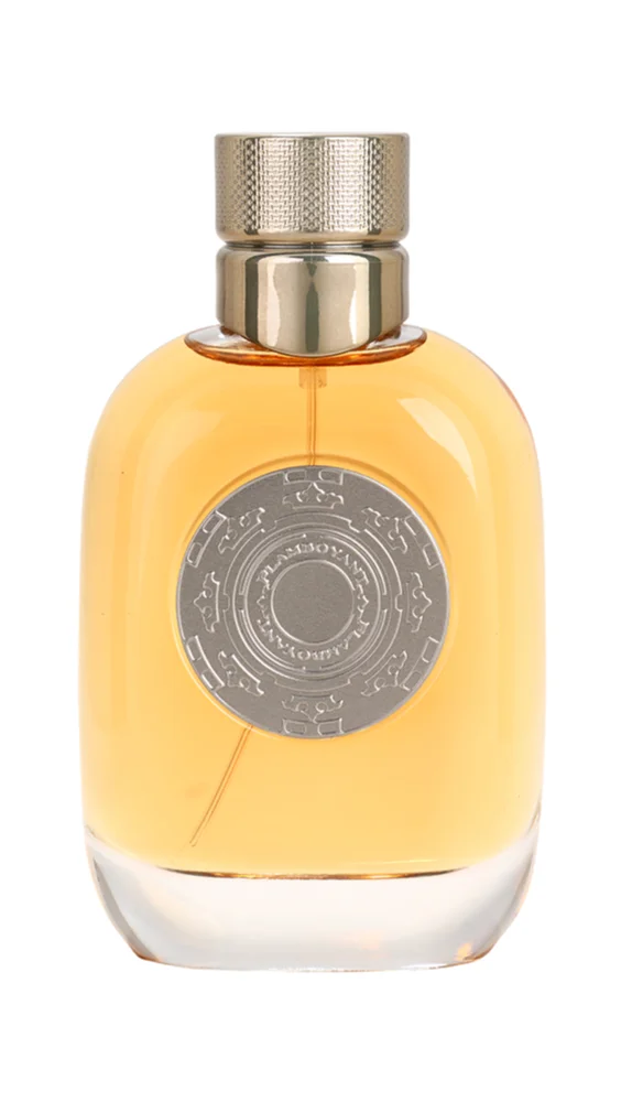 Oriflame Flamboyant Eau de Toilette for men