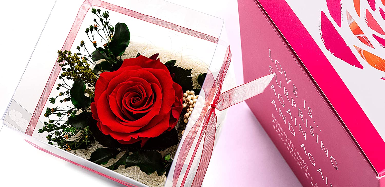 Rose Te Amo Infinity Flower, Flower Arrangement, Durable Rose Box, Preserved Floral Arrangement