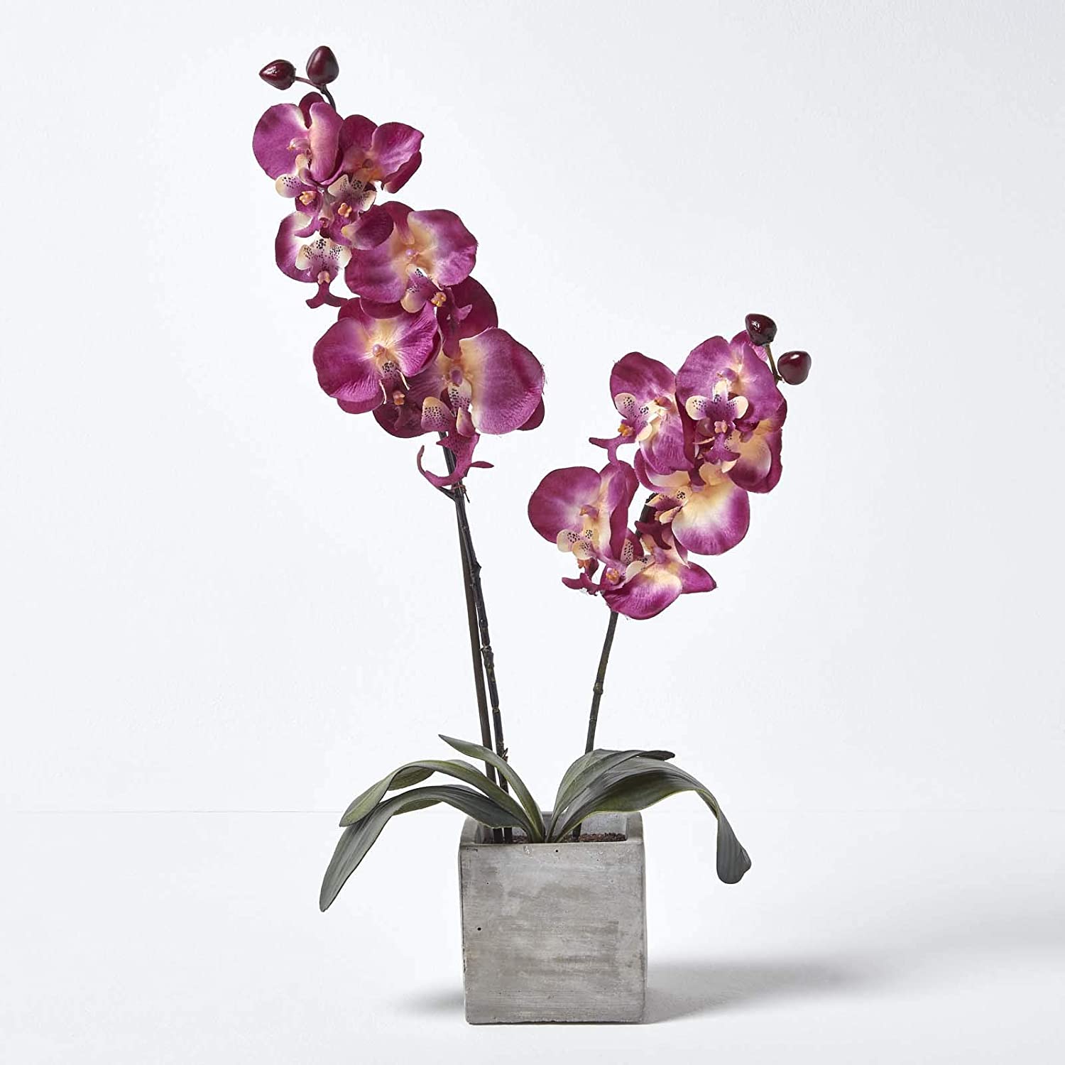 Homescapes High Orchid In Ceramic Pot