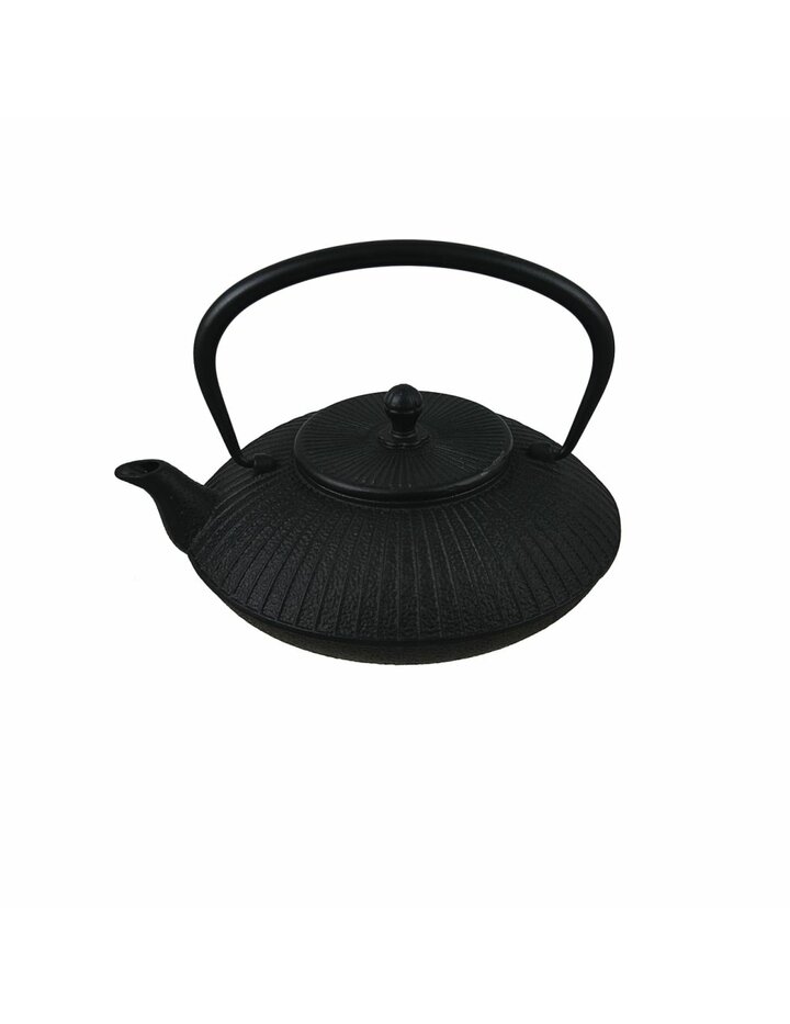 Playground Teapot Cast Iron 1.15 L With Screen