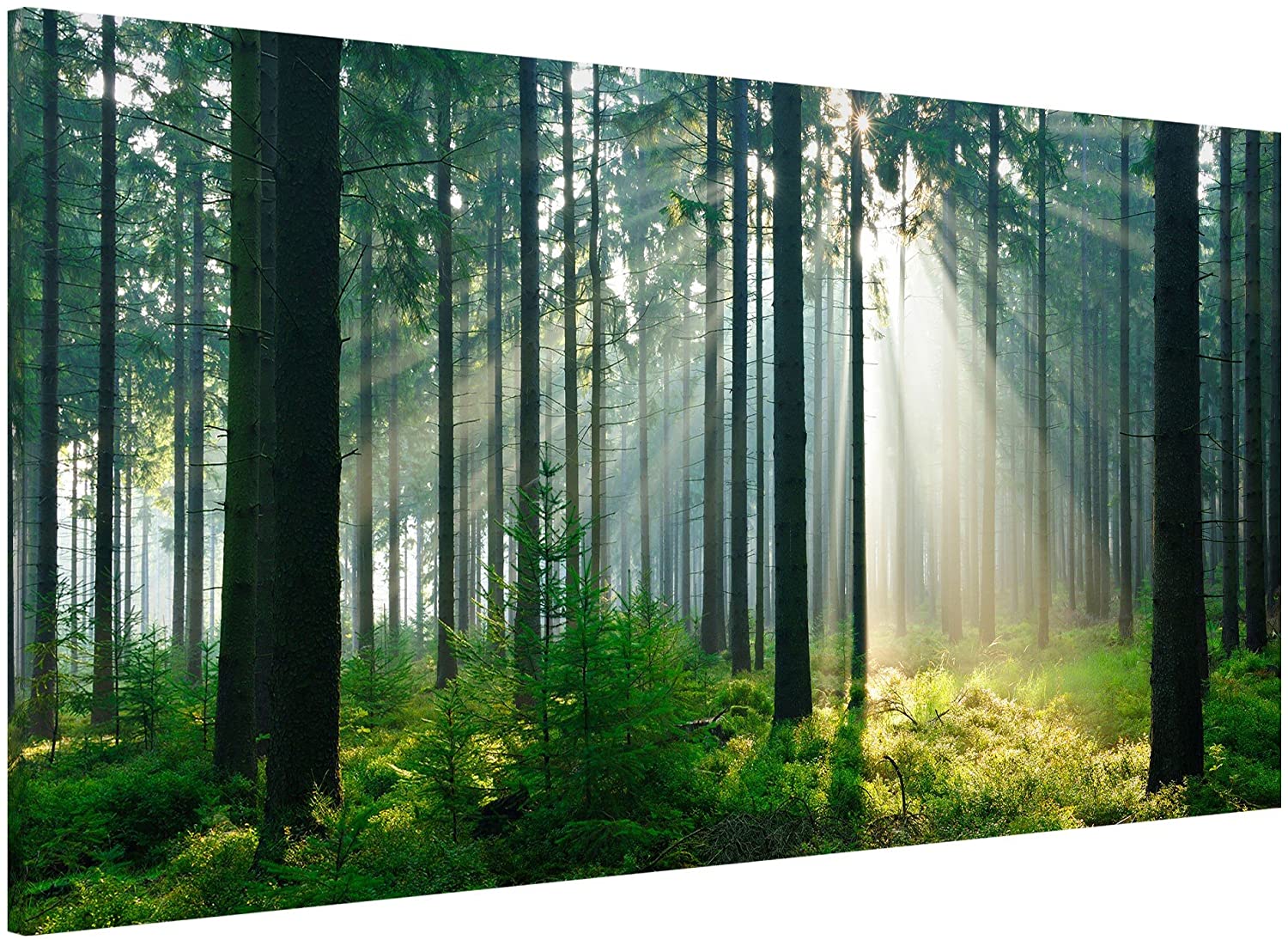 Magnetic notice board/Memo Board – Enlightened Forest "37 x 78 cm, 37x78