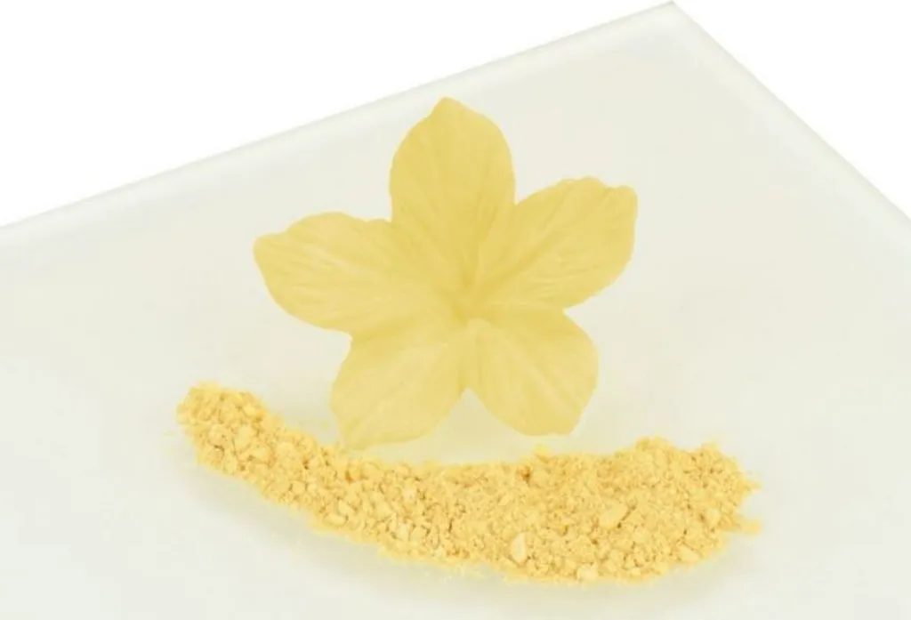 Rainbow Dust Powder Color Cream 4 g - Cream Beige Powder Color