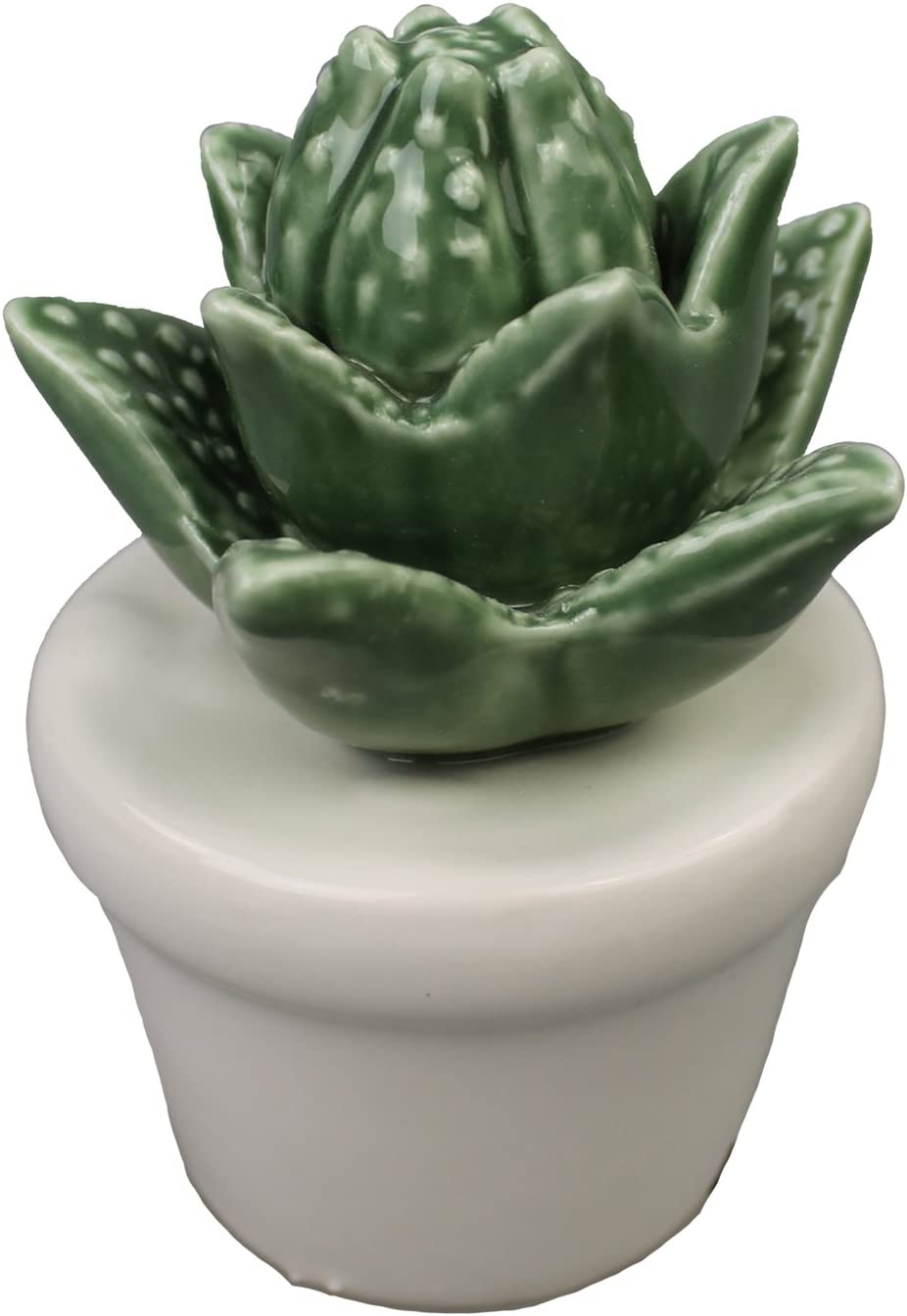 GMMH Ceramic Cactus Cacti Models Available Decorative Vase Ceramic (22-9 Height 10 cm)