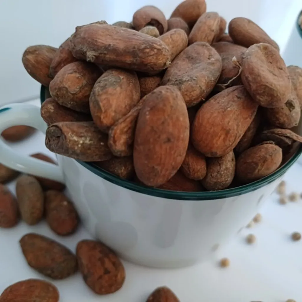 Raw cocoa beans 1000g