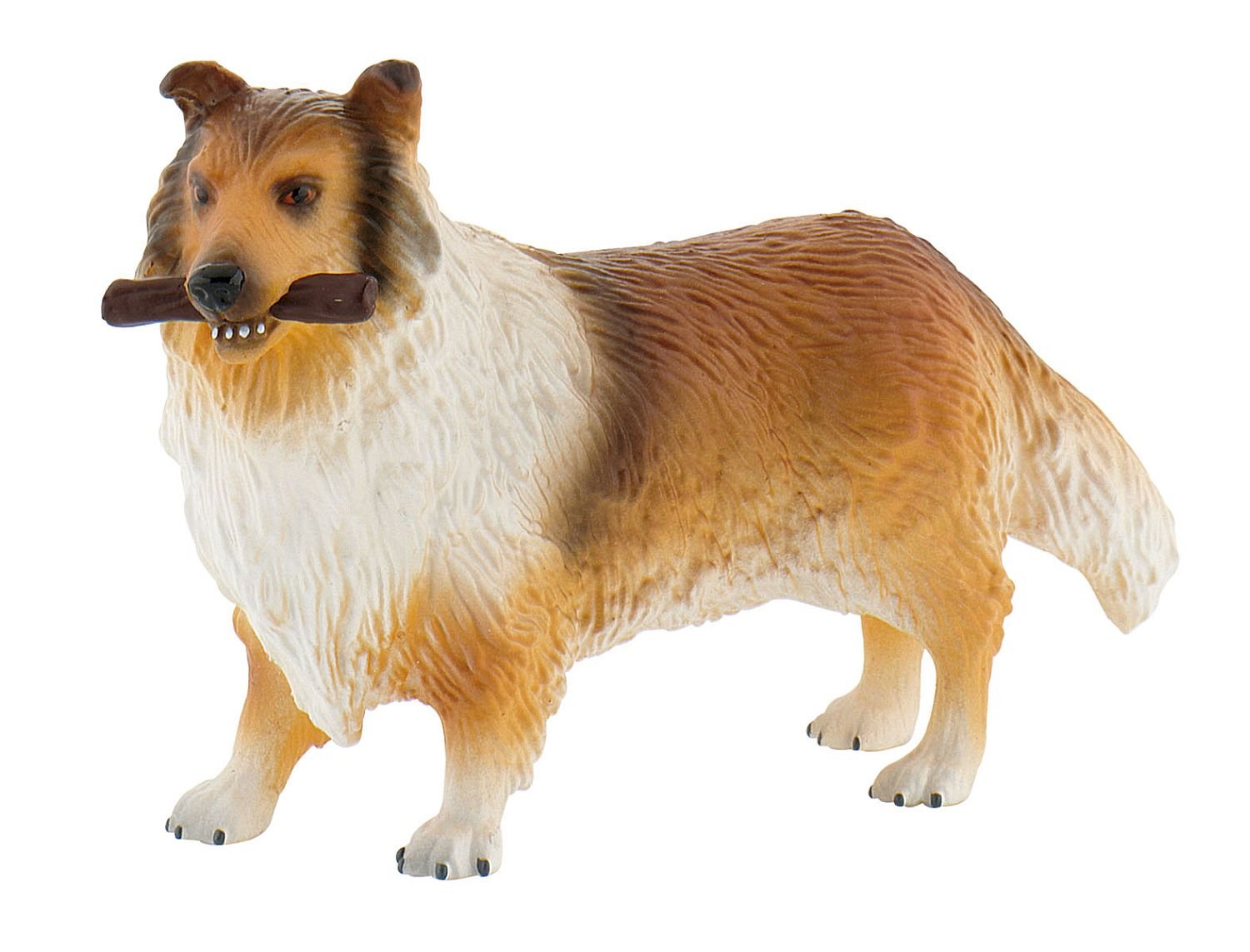 Rough Collie Lassie A
