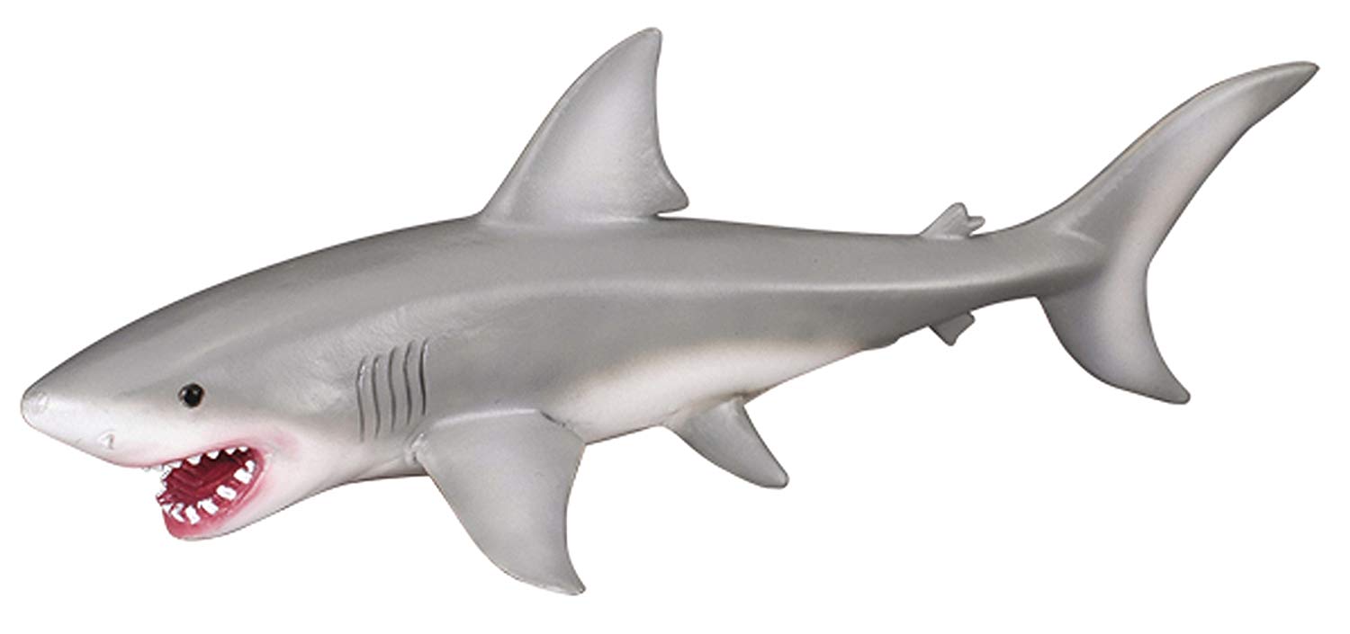 Rspca Great White Shark