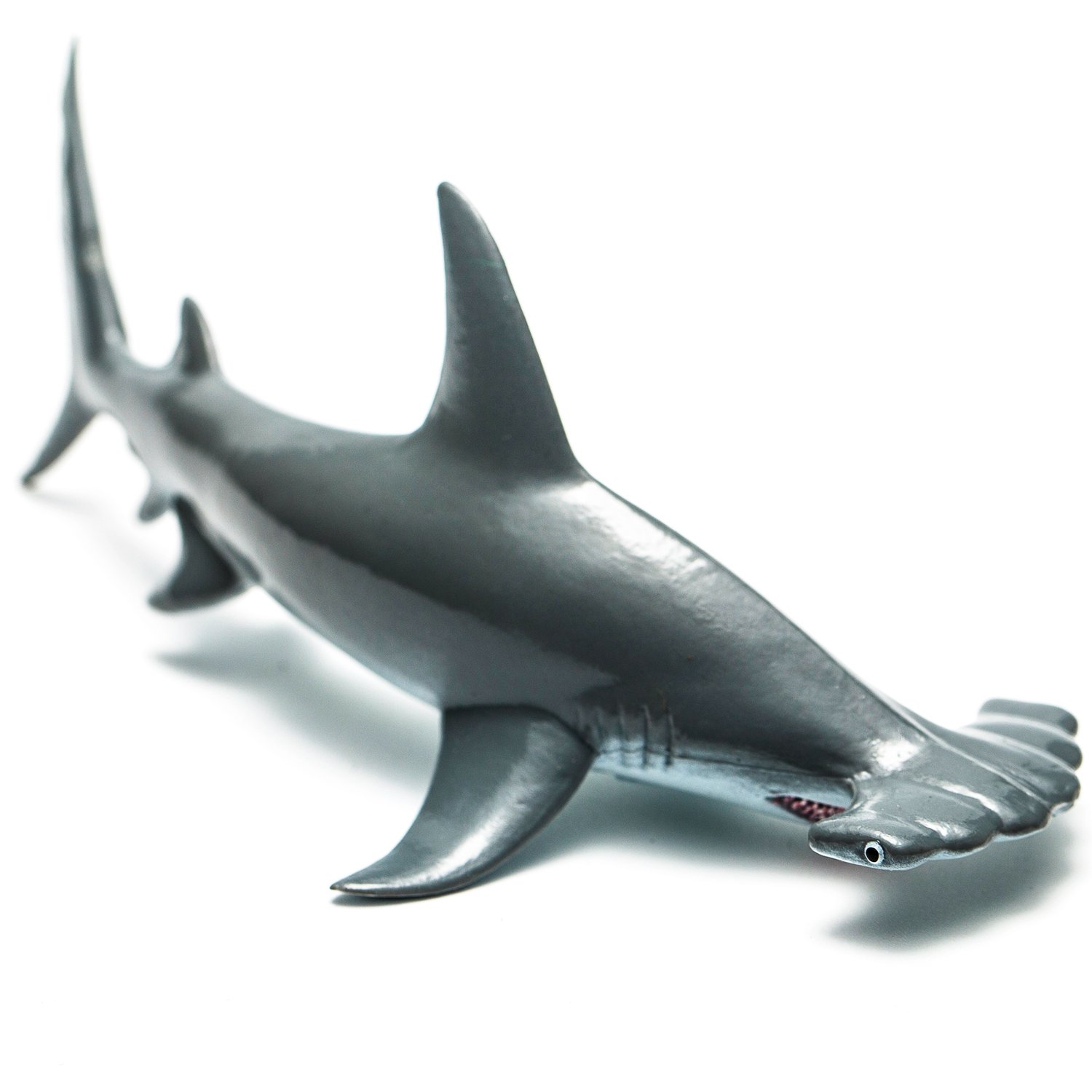 Collecta Rspca Scalloped Hammerhead Shark