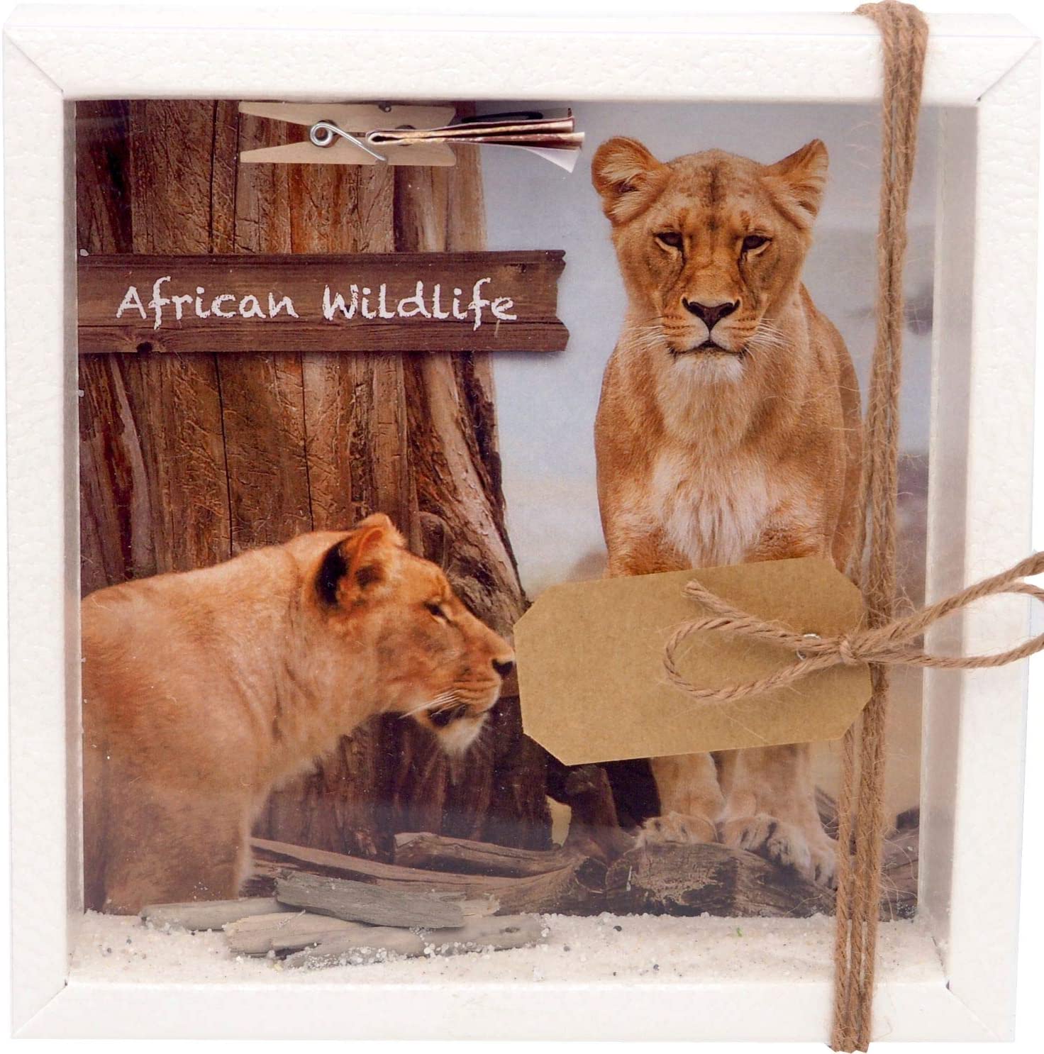 Magic Decoration Money Gift Packaging Africa Safari, Holiday Travel, Long D