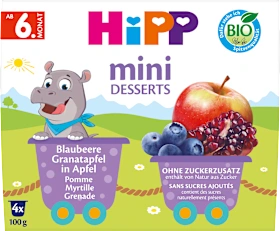 Fruit mini desserts blueberry, pomegranate in apple from the 6th month (4x100 g), 400 g