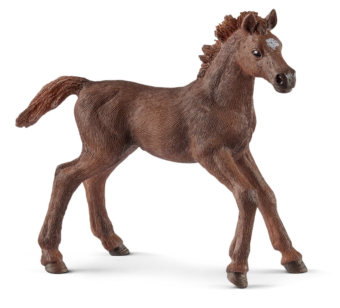 Schleich 13857 English Thoroughbred Foal