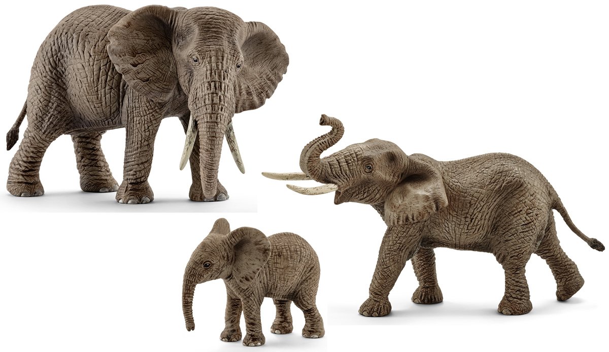 African Elephant Family Set Of