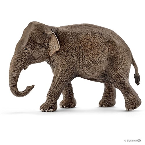 Schleich Asian Elephant 14753 – – Multi-Colored