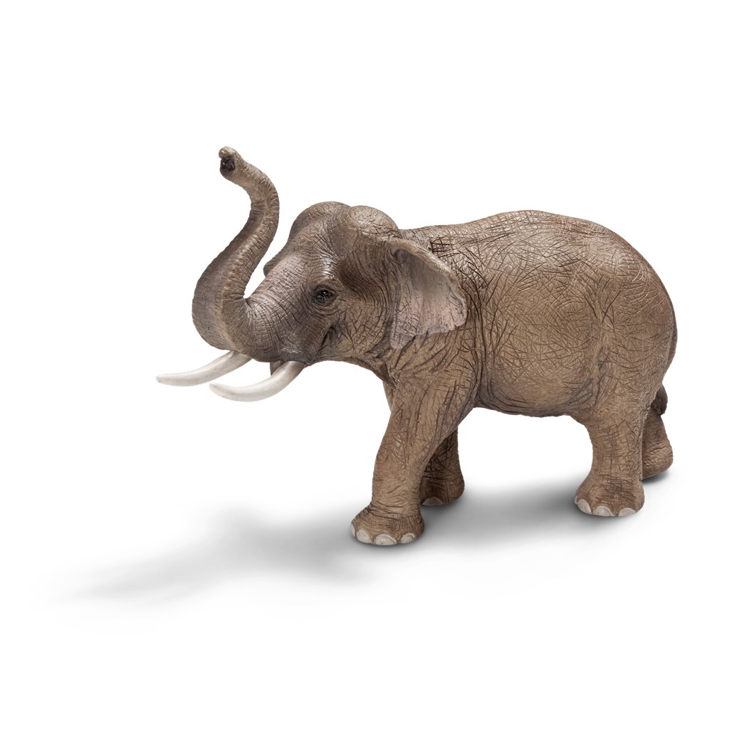 Schleich Asian Elephant Figure (Male)