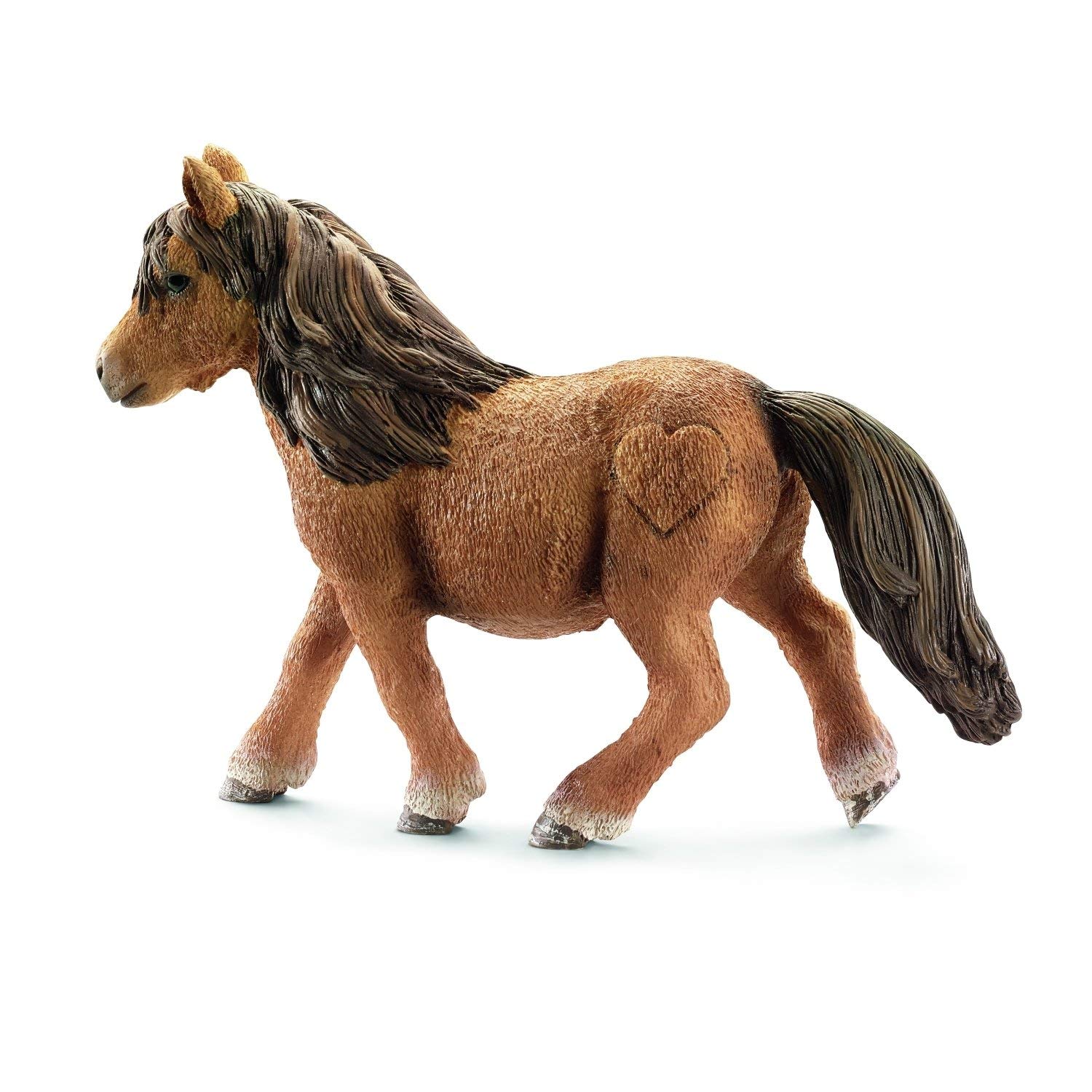 Shetland Pony Mare