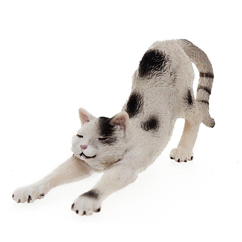 Stretching Male Cat