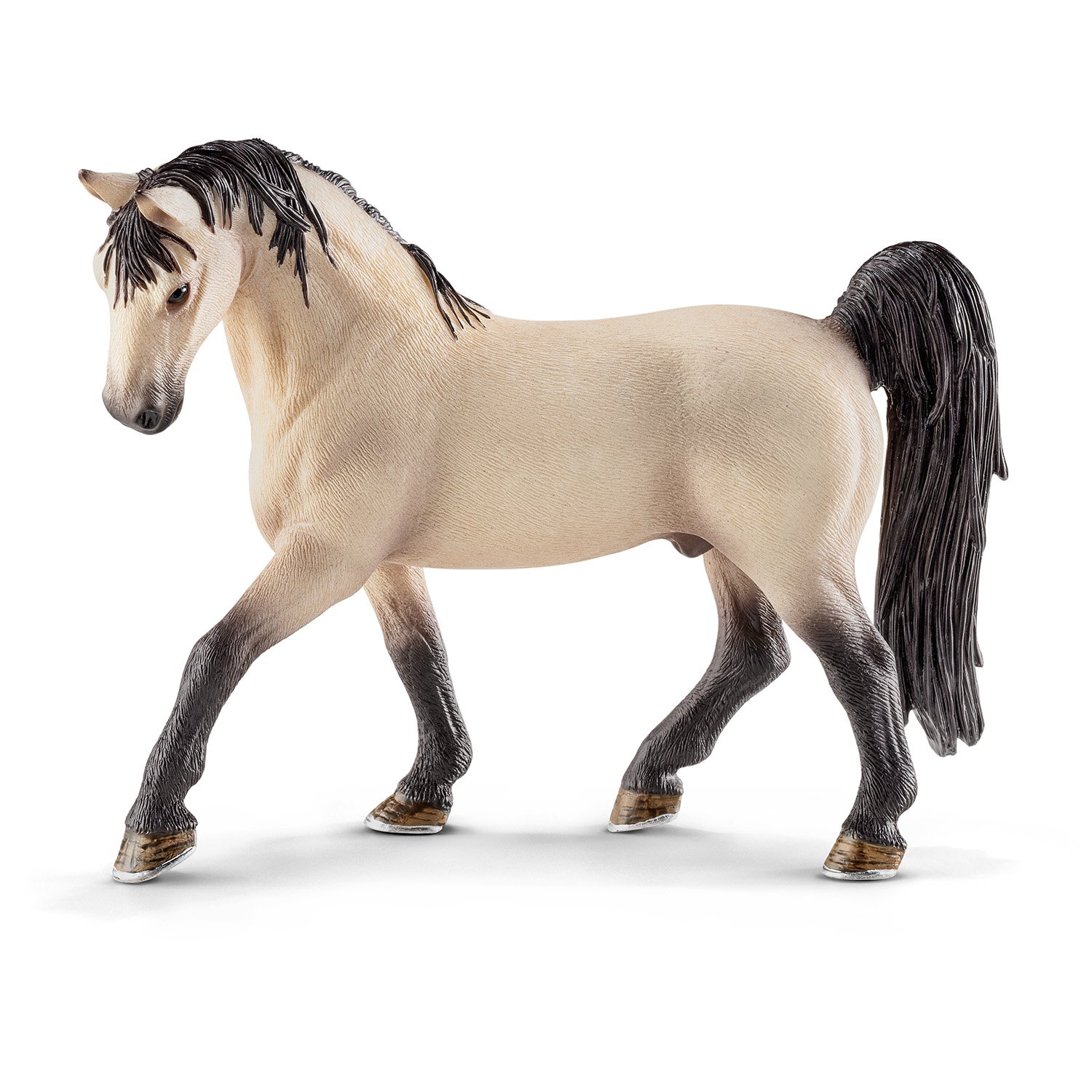 Tennessee Walker Stallion