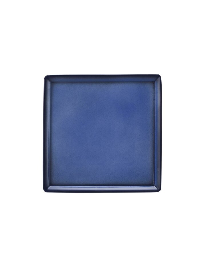 Seltmann Weiden Plate 5170 23X23 Cm Buffet-Gourmet Blue 57122