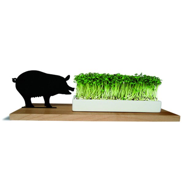 Side by Side cress bowl pig