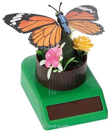 Solar Butterfly Assorted 208