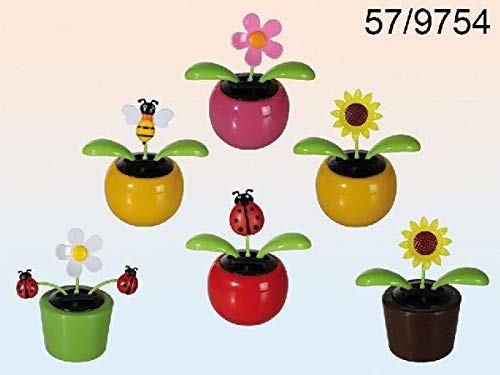 Solar Flower Assorted 208