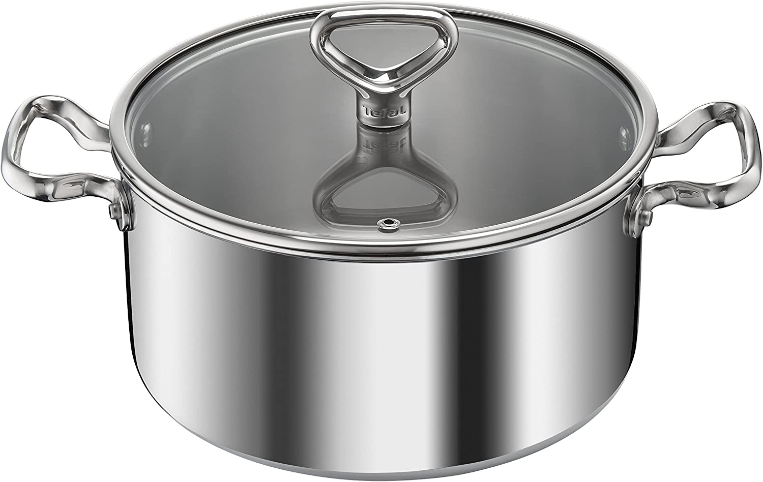 Tefal E4764644 Reserve Collection Rapsodie Stainless Steel for All Cookers Induction Pan 24 cm 5 L with Lid Grey