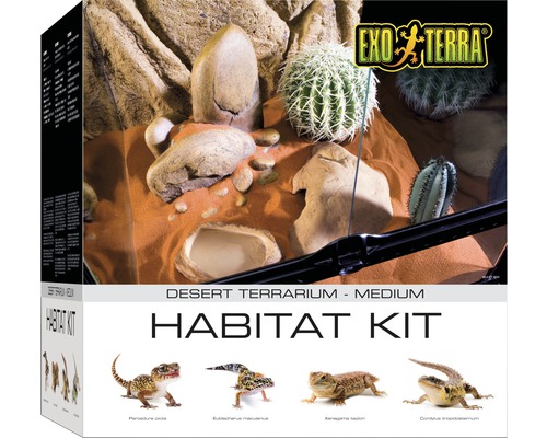 Terrarium set Exo Terra Desert Habitat Kit M