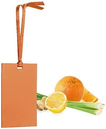 Tescoma Fancy Home Card Scent Air Freshener Car Drawers Cupboards Lemon Grass Scent