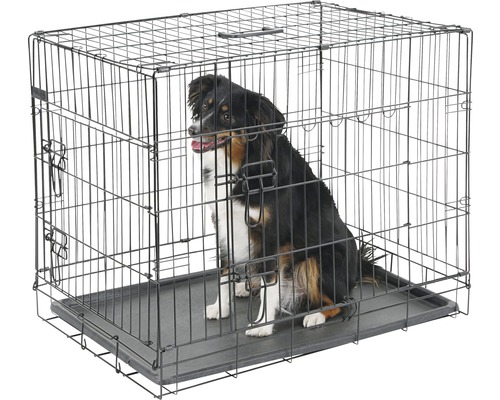Transport box KERBL foldable 76x54x64 cm