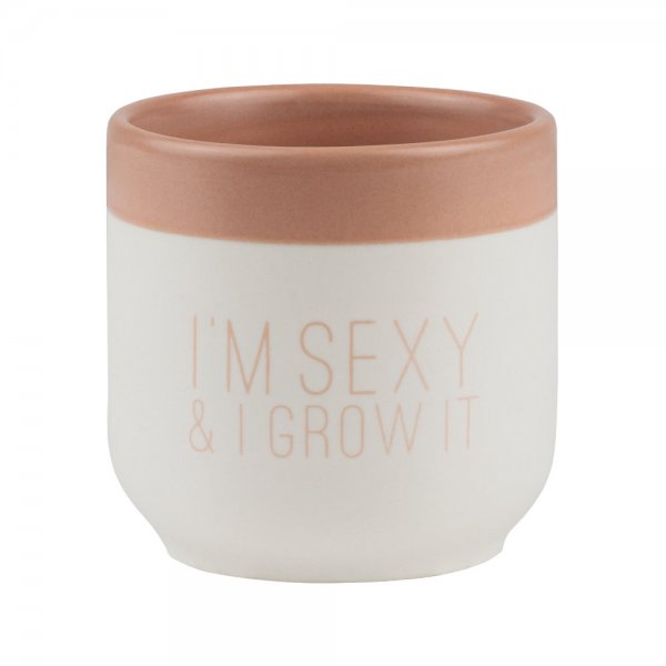 Planter Flowery Greetings fromräder Design