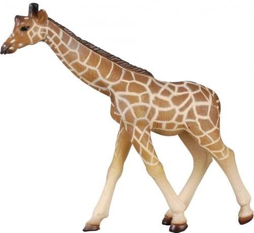 Giraffe Calf Collecta Mesh