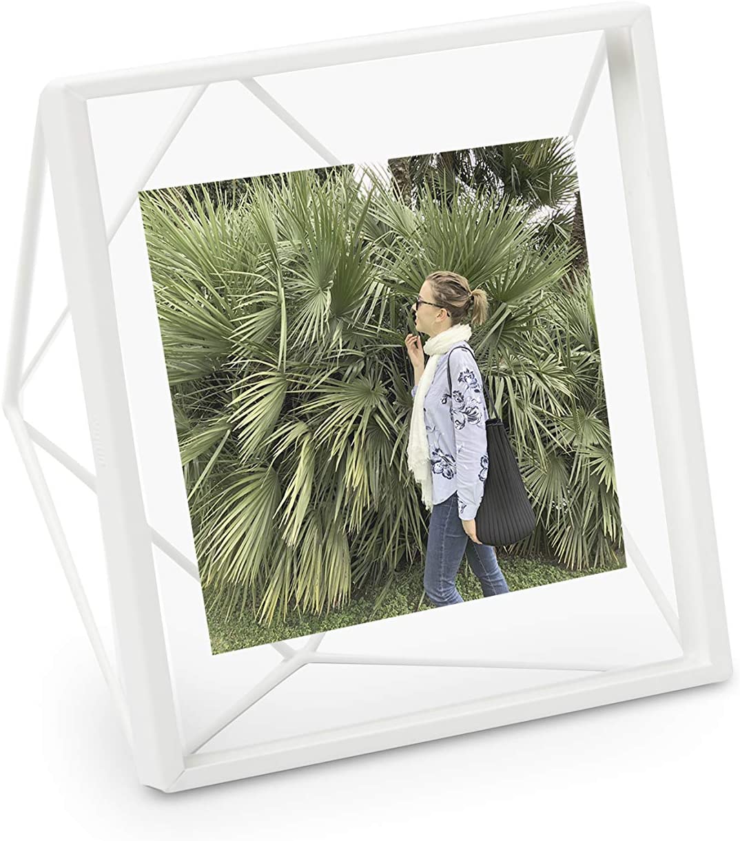 Umbra Nesta Plant Holder For Hanging or Standing