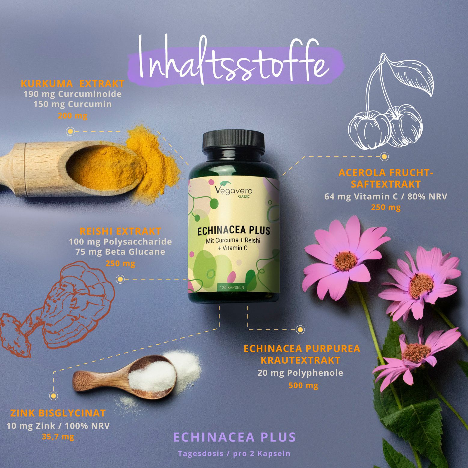 VEGAVERO Echinacea Plus