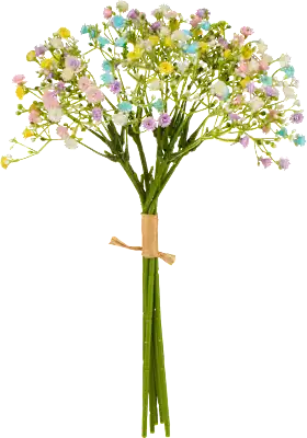 Gypsophila bouquet, colorful, 1 piece
