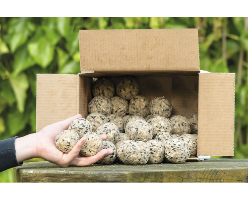 Wild bird food CJ Wildlife Premium fat balls, 50 pieces. All-season bird food