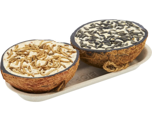 Wild bird food half coconuts 400g
