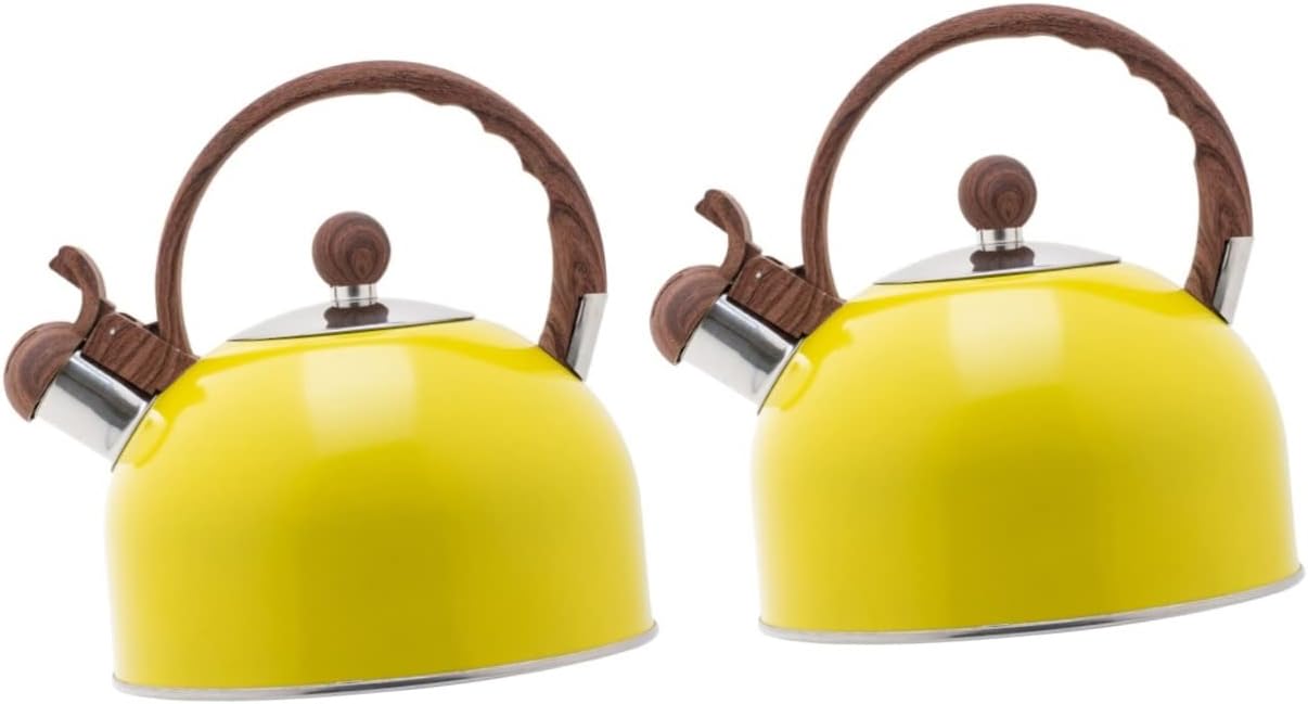 Angoily Pack of 2 Pot Kettle for Heating Water Travel Pouring Stove Pipe Boiling Kettle Boiling Tea Kettle Kettle Gas Tea Cooking Small Tools Stainless Steel