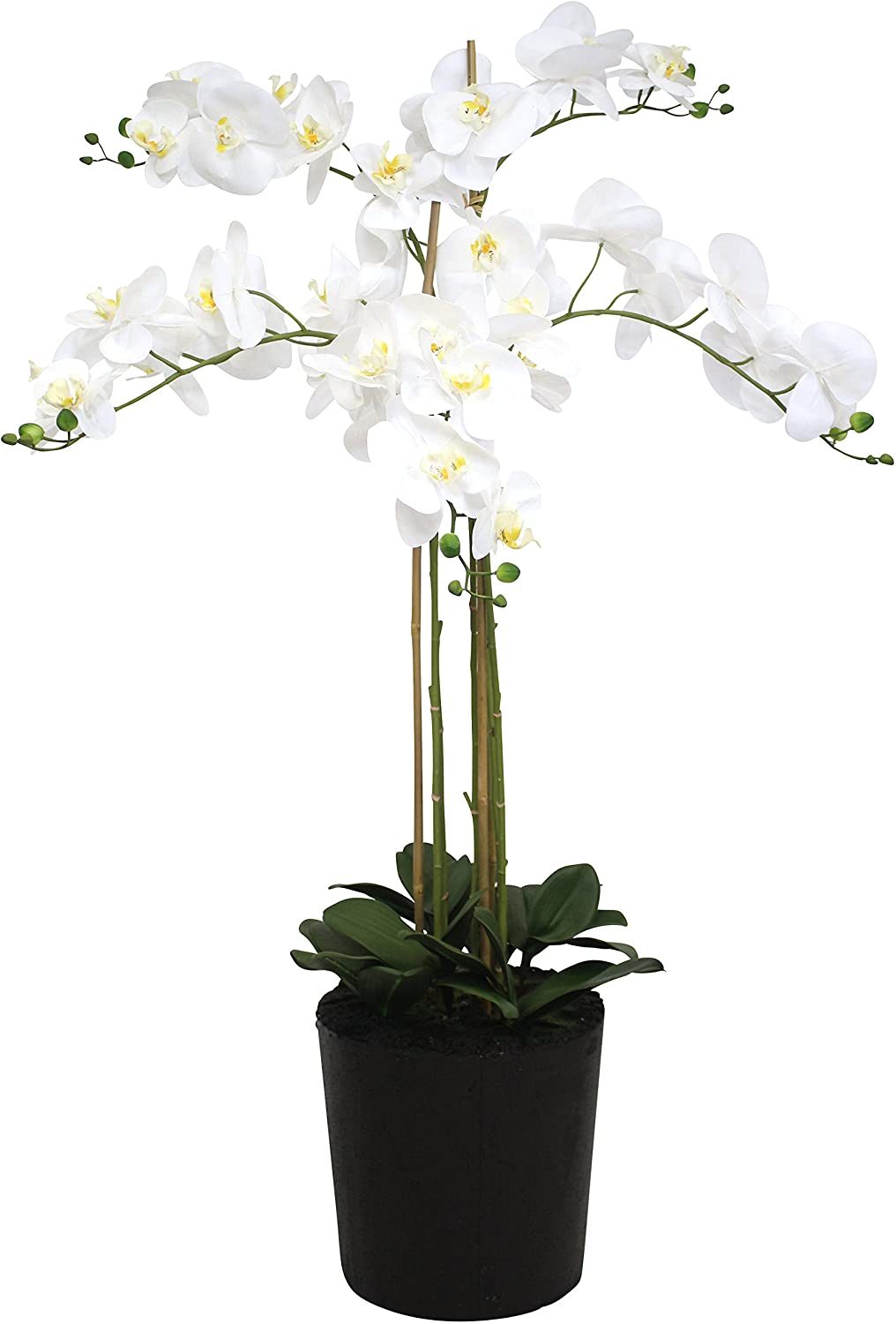 Giant Artificial Orchid With White Flowers